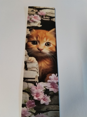 Kissa kirjanmerkki.