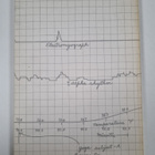 The Journal of Transpersonal Psychology 1/1970 - pikkukuva 2