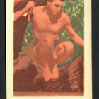 Keräilykuva - Johnny Weismüller TEVE 145 - pikkukuva 1