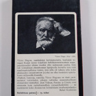 Victor Hugo : Kurjat 3 - pikkukuva 2