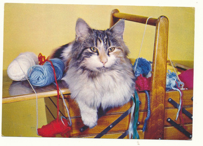 KISSA-kortti