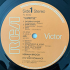 [LP] HERMAN BROOD & HIS WILD ROMANCE: SHPRITSZ - pikkukuva 4
