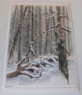 Aarnimetsän talvi, kulkematon