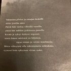 HANSHAN: KYLMÄ VUORI - pikkukuva 2