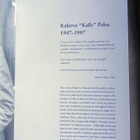 Kalervo Palsa "Memoirs of a pensioner - a grey comedy" - pikkukuva 3