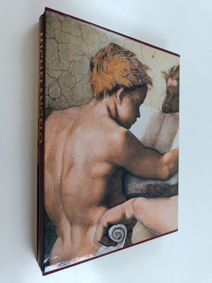 Pierluigi De Vecchi : Michelangelo : Vatikaanin freskot (...