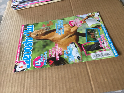 HEVOSHULLU 16/2015 +julisteet HYVÄ