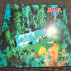 Asa - Täytyy mennä metsään LP - pikkukuva 1