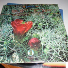 Eagles – Eagles (UK orig) - pikkukuva 4