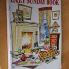 Bill Watterson : Lazy Sunday Book Calvin and Hobbes (k.po) - pikkukuva 1