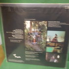 THE FRANKIE MILLER BAND  THE ROCK M-/M- LP - pikkukuva 2