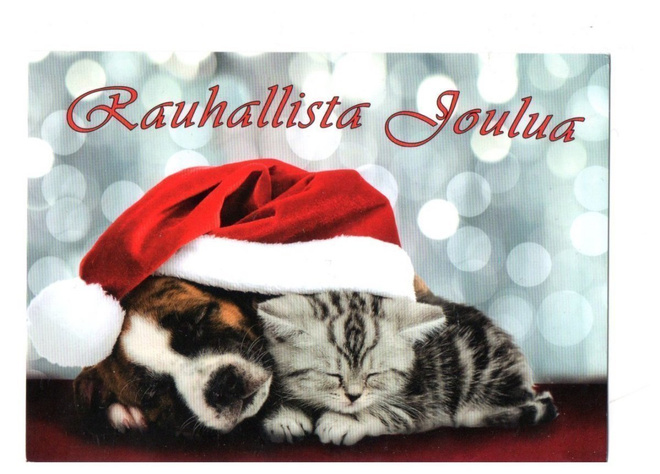 Kissa & Koira...°°RAUHALLISTA JOULUA°° -KORTTI /(Anki)