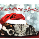 Kissa & Koira...°°RAUHALLISTA JOULUA°° -KORTTI /(Anki) - pikkukuva 1