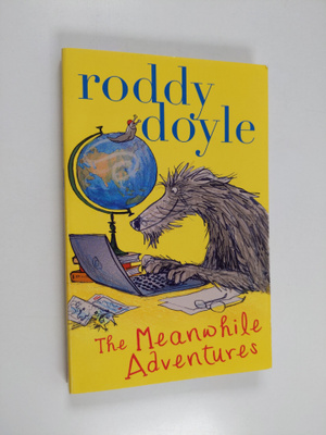 Roddy Doyle : The meanwhile adventures