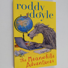 Roddy Doyle : The meanwhile adventures - pikkukuva 1