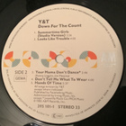 Y & T / Down For The Count - pikkukuva 3