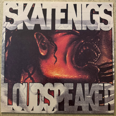 [12''] SKATENIGS: LOUDSPEAKER