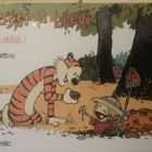 Bill Watterson - Lassi ja Leevi: Juhlakirja 7 (sid.) - pikkukuva 1