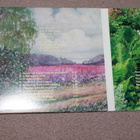 Jukka Gustavson Organ... - Root & Stalk & Flower Music CD - pikkukuva 2