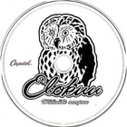 Elokuu • Hääväki Saapuu CD - pikkukuva 3