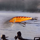 Rapala CD-7 Finland spec. - pikkukuva 2