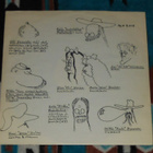 FREUD MARX ENGELS & JUNG ~ Siunattu Hulluus ~ LP - pikkukuva 3