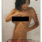 2008 Playboy Vixens Ruby Red #26 Chantel Poynton /200 - pikkukuva 1