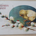 Pikkutipu ihmettelee pajunkissoja (venäl.) p. 1916 + sens.l. - pikkukuva 1