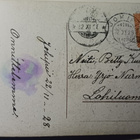 Kukkakori, hyasintteja ja leinikkejä, kultausta, p. 1928 - pikkukuva 2