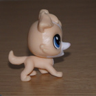 LITTLEST PET SHOP baby Tanner Mutley KOIRA #89 - pikkukuva 4