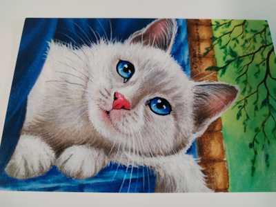 Kissa kortti,kulkematon.