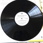 The Bird Songs Of Britain And Europe, Record 15 VINYYLI - pikkukuva 5