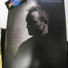 STING - SYMPHONICITY 2010 KIERTUEKIRJA - pikkukuva 1
