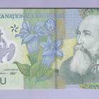 Romania 1 Leu v.2017 UNC P-117 Polymer - pikkukuva 1