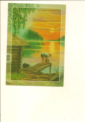 PELTONIEMI ,,,, LAITURILLA ,,,, KULKEMATON