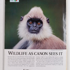 National geographic vuosikerta 2018 (1-12) - pikkukuva 2