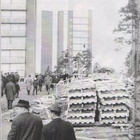 Seura n:o 14/15 2023 Marion Rung. Kalle. Mira. Rautjärvi. - pikkukuva 5