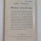 Anna Kasurinen : Melkein aikaihminen - pikkukuva 2