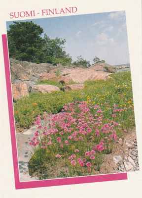 Postikortti, KUKKALOISTOA, Suomi-Finland sarja