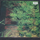 Roxy Music - Country Life LP re 1977 - pikkukuva 2