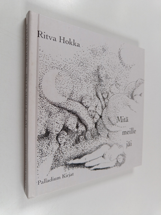 Ritva Hokka : Mitä meille jäi