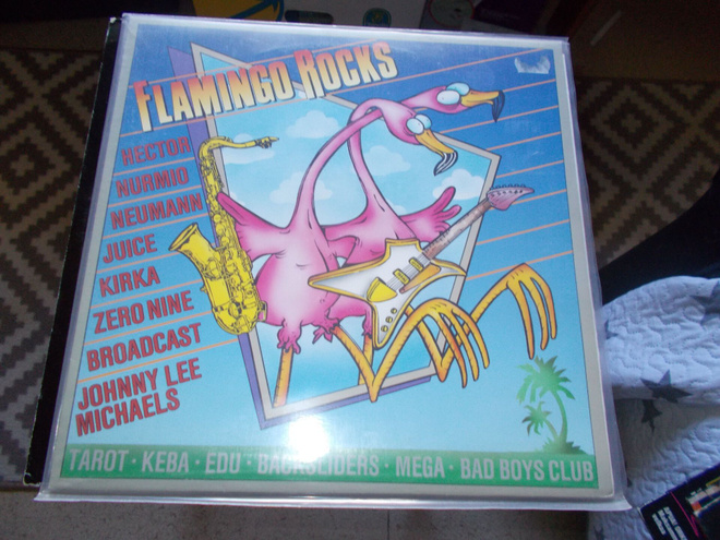 VINYYLI KOKOELMA FLAMINGO ROCKS