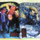 DC Comics Rogues Gallery - pikkukuva 2