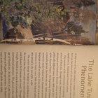 AT THE SOURCES OF FINNISH CULTURE - pikkukuva 4