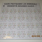 *LP* KARI PEITSAMO JA ANKKULI Vedestä Nousee Kasvi - pikkukuva 2