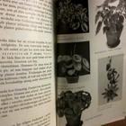 Blomster Bok , 1953, kukkakirja. - pikkukuva 3
