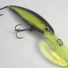 Rapala X-Rap magnum 12cm (erikoinen väri) - pikkukuva 1