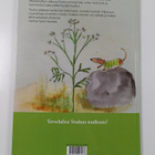 Pilvi Saaristo ym. : Touhu löytää metsän - pikkukuva 2