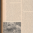 Poliisimies 1952 - lehdet - pikkukuva 3