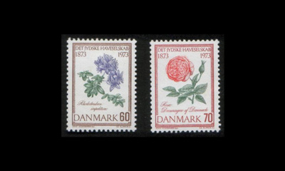 Tanska 543-4 ** Puutarhanhoitoyhdistys 100v (1973)